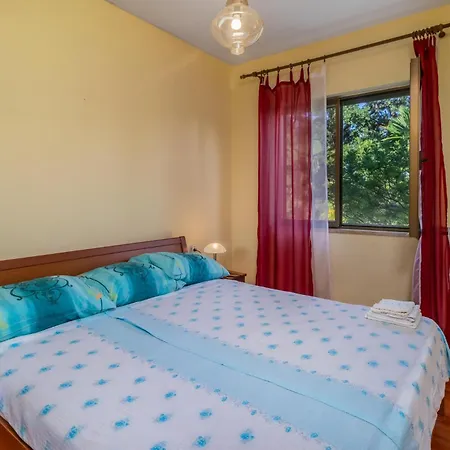 Cozy In With Kitchen Apartment *